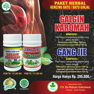 Illustration for article titled obat penghancur batu ginjal yang cepat